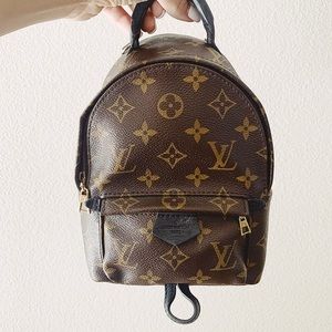 Louis Vuitton Palm Springs Mini